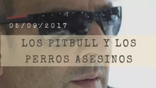 Baby Etchecopar - Los pitbull y los perros asesinos