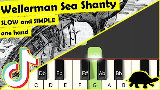 wellerman sea shanty - piano tutorial - slow easy