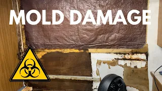RV Water Damage Repair | We Found Mold :( - Episode 8