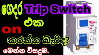 How to check the Earth Leakage At Home /sinhala  /electrical /Trip Switch /wiring / sri lanka