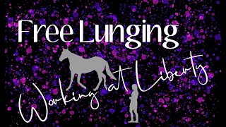 Free Lunging - Working at Liberty w. Starr