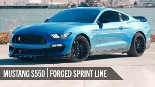 Ford Mustang GT350 on EC-7RS & VS-5RS