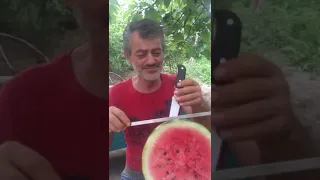 Tavush Shamshadin Karo×Vach|Tamam Ashxar|Тавуш Шамшадин Каро×Вач|Թամամ Աշխարհ🤣