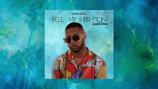 Feel My Vibration | AfroHouse | Vol.7 | SummerEdition |  DJ DANNI GATO (2019)