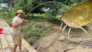 Cat Fishing A Creek Off A BRIDGE {Catch Clean Cook}