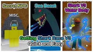 How To Get Shark Race V3 Blox Fruits [Easy Guide 2023]