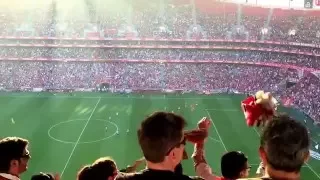 Gonçalo Guedes scores for SL Benfica vs Boavista 8/11/15