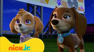 PAW Patrol | Los mejores momentos de la temporada 9 de PAW Patrol 🐶 (Parte 1) | Nick Jr. en Español