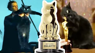 THE MOST FAMOUS HOLLYWOOD CAT 😸 OwlKitty