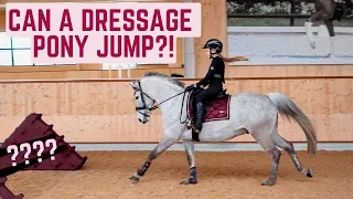 CAN A DRESSAGE PONY JUMP!? HARLOW RIDE'S MILO!