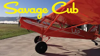 My new Savage Cub!