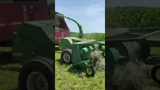 Chopping haylage