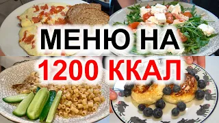 ДНЕВНИК ПИТАНИЯ на день на 1200 ккал НАГЛЯДНО / Что есть в течение дня / меню ДЛЯ ПОХУДЕНИЯ