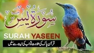 Surah Yasin(Yaseen) | Full With Arabia | Beautiful recitation| یس سورہ Quran Al Hadees official