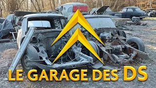 LE GARAGE DES CITROEN DS - La Normandie à des trésors