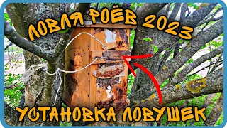 МОИ МЕСТА ДЛЯ УСТАНОВКИ ЛОВУШЕК. ЛОВЛЯ РОЁВ 2023. ГОД БУДЕТ ЖАРКИМ.