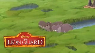 Beshte and the Hippo Lanes   The Lion Guard   Clip