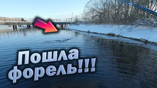 ЭТА РЫБА РВЁТ ВСЕ ШНУРЫ!!! РЫБАЛКА НА МИКРОДЖИГ!!!