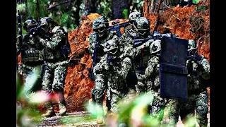 FUERZAS ARMADAS DE MEXICO *2018* HD/MEXICAN ARMED FORCES