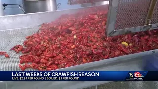 Crawfish season is ending soon; here are the prices you should expect