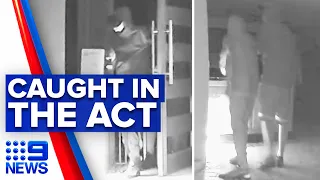 Home intruders filmed on CCTV in Queensland home | 9 News Australia