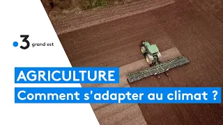 Changement climatique, les agriculteurs s'adaptent