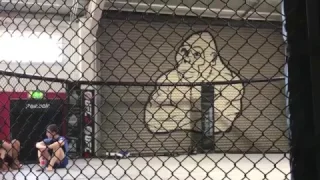 Tour of Conor McGregor Gym in Ireland: Straight Blast Gym SBG