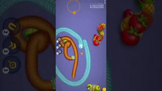 🐍 Worms zone.io Little Snake Finished Game Play || #wormszone #shorts #trending #vairal #short #game