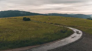 Poutní Cesta Blaník - Říp (1.díl - Nedošli jsme)