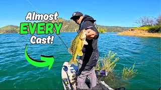 How To Catch em' on REACTION Lures! (Lake Oroville)
