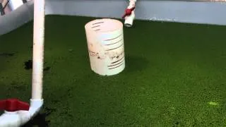 Growing Duckweed