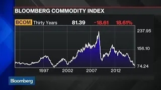 Milton Berg: Commodities May Sink 20% or More