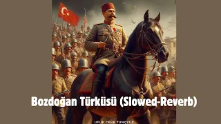 Bozdoğan Türküsü (Slowed - Reverb)