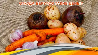 Морковь, свёкла и картофель по стоимости экзотических фруктов
