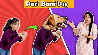 OMG !!! Pari Ban Gayi Dog I Funny Story I Pari's Lifestyle