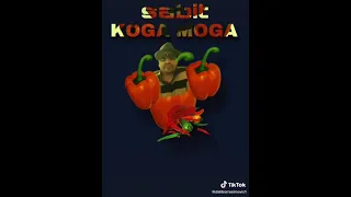 SABIT LEGENDA- KOGA MOGA