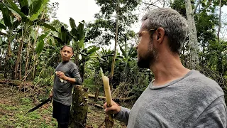 Deep Inside The Amazon Jungle 🇨🇴