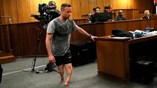 OSCAR PISTORIUS, QUE PASÓ DE HÉROE A VILLANO, PODRÍA SALIR DE LA CÁRCEL - The Wild Project