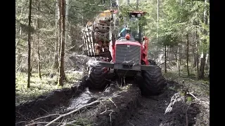 Valmet 840.3 logging in windy spring forest