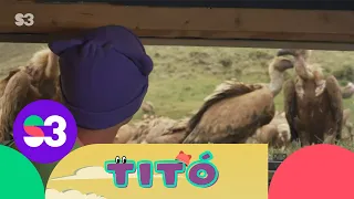 Excursió amb voltors - Titó
