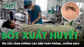 Dịch Sốt Xuất Huyết Phức Tạp, Thủ Tướng Ra Công Điện Tăng Cường Các Biện Pháp Phòng, Chống | SKĐS