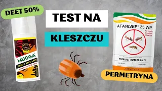 Kleszcze TEST - mugga deet vs. permetryna