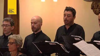 Coro Ghislieri / Giulio Prandi & Schola Gregoriana Ghislieri - Between Church and Theatre