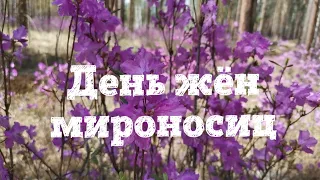 День жён мироносиц! Я дома)