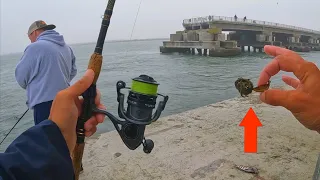 SHEEPSHEAD Fishing At The Oregon Inlet Bridge