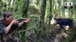RUNNAWAY BOAR!! The Hardest Hunt ever with the dogs!
