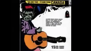 Various – It Came From Canada Vol.2 : 80’s Garage Rock, Punk, Rockabilly, Alternative Music Album LP