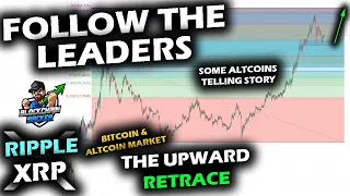 LEADERS BEGIN MOVING as Altcoin Market Prepares RALLY, Retraces, Bitcoin and Ripple XRP Price Chart