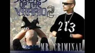 Mr.Criminal - Knockin Doors Down