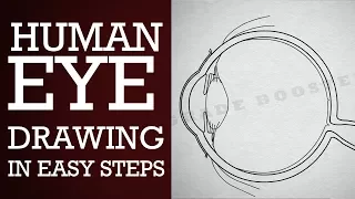 How to draw human #eye diagram step by step |10th Physics | science | CBSE syllabus | NCERT class 10